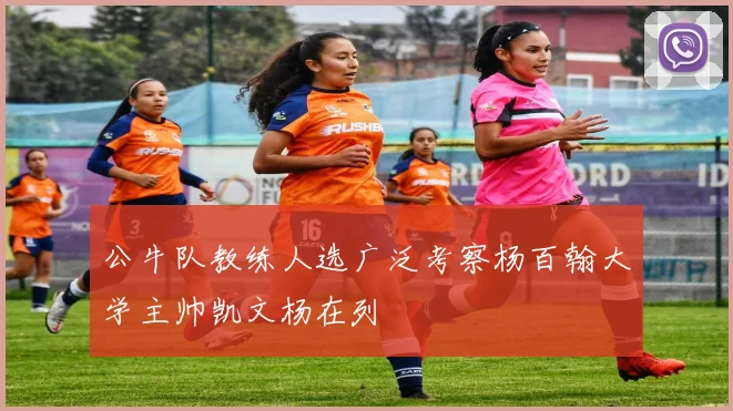 公牛队教练人选广泛考察杨百翰大学主帅凯文杨在列